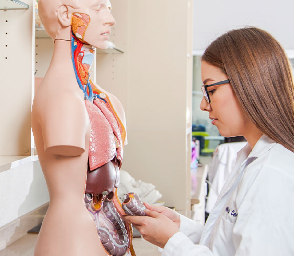 Facultad de Ciencias de la Salud