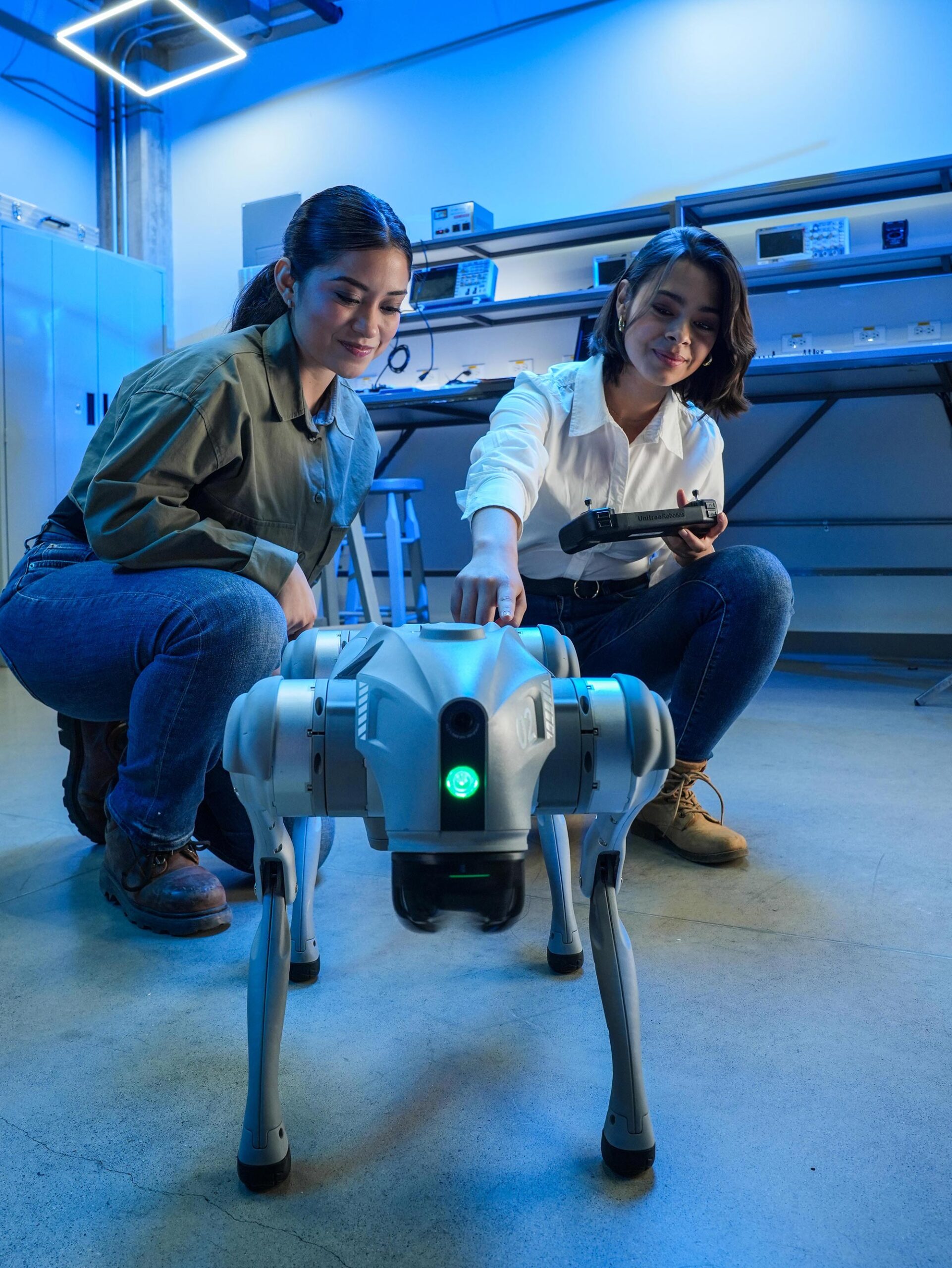 Ingenier&iacute;a en Ciencia de Datos E Inteligencia Artificial