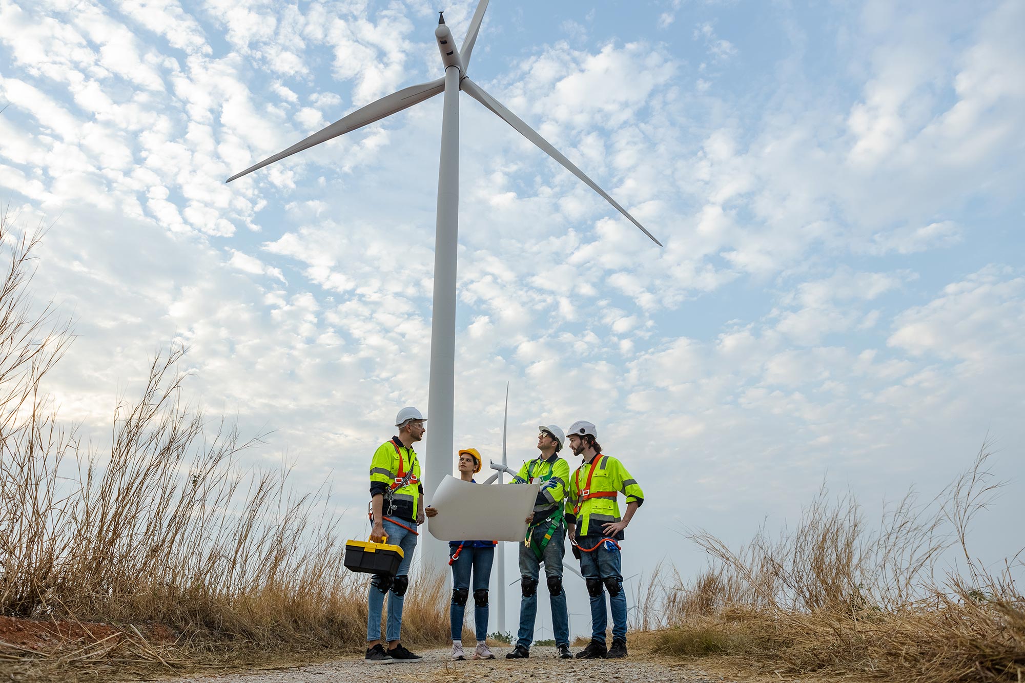 Maestr&iacute;a en Gesti&oacute;n de Energ&iacute;as Renovables