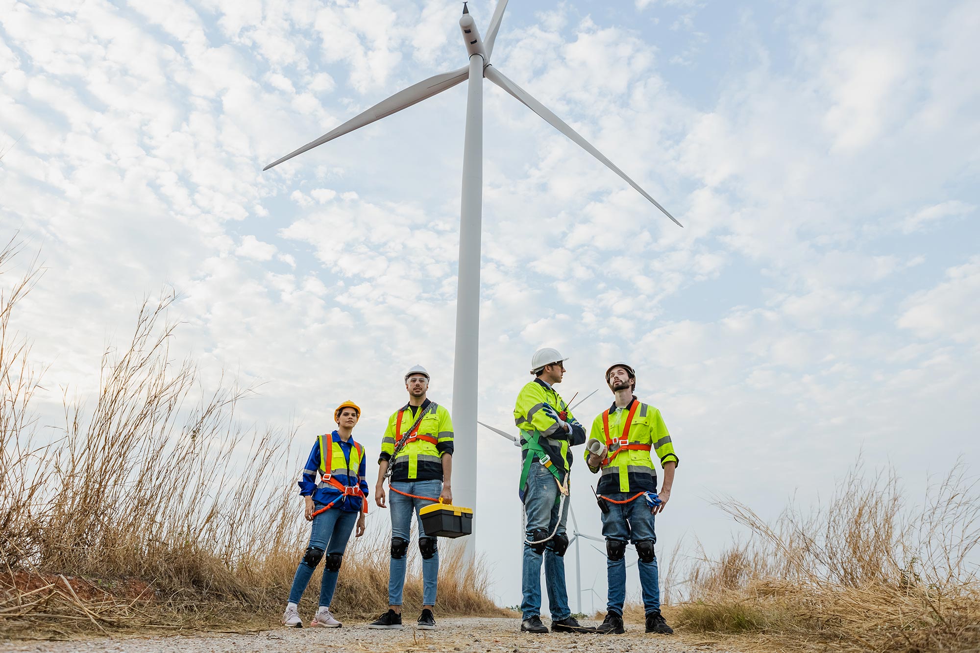 Maestr&iacute;a en Gesti&oacute;n de Energ&iacute;as Renovables