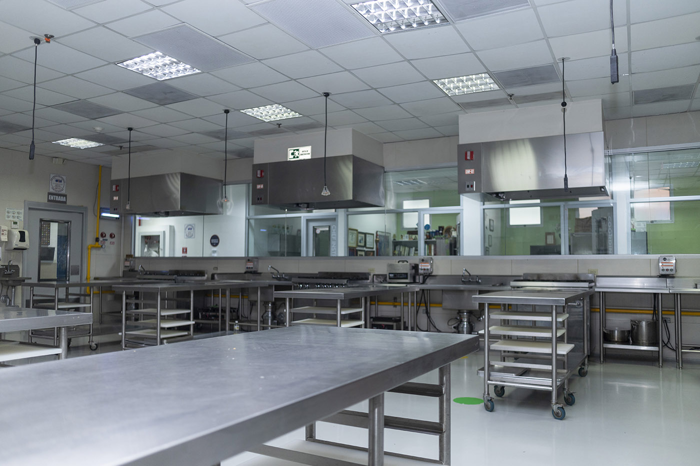 Licenciatura en Gastronom&iacute;a