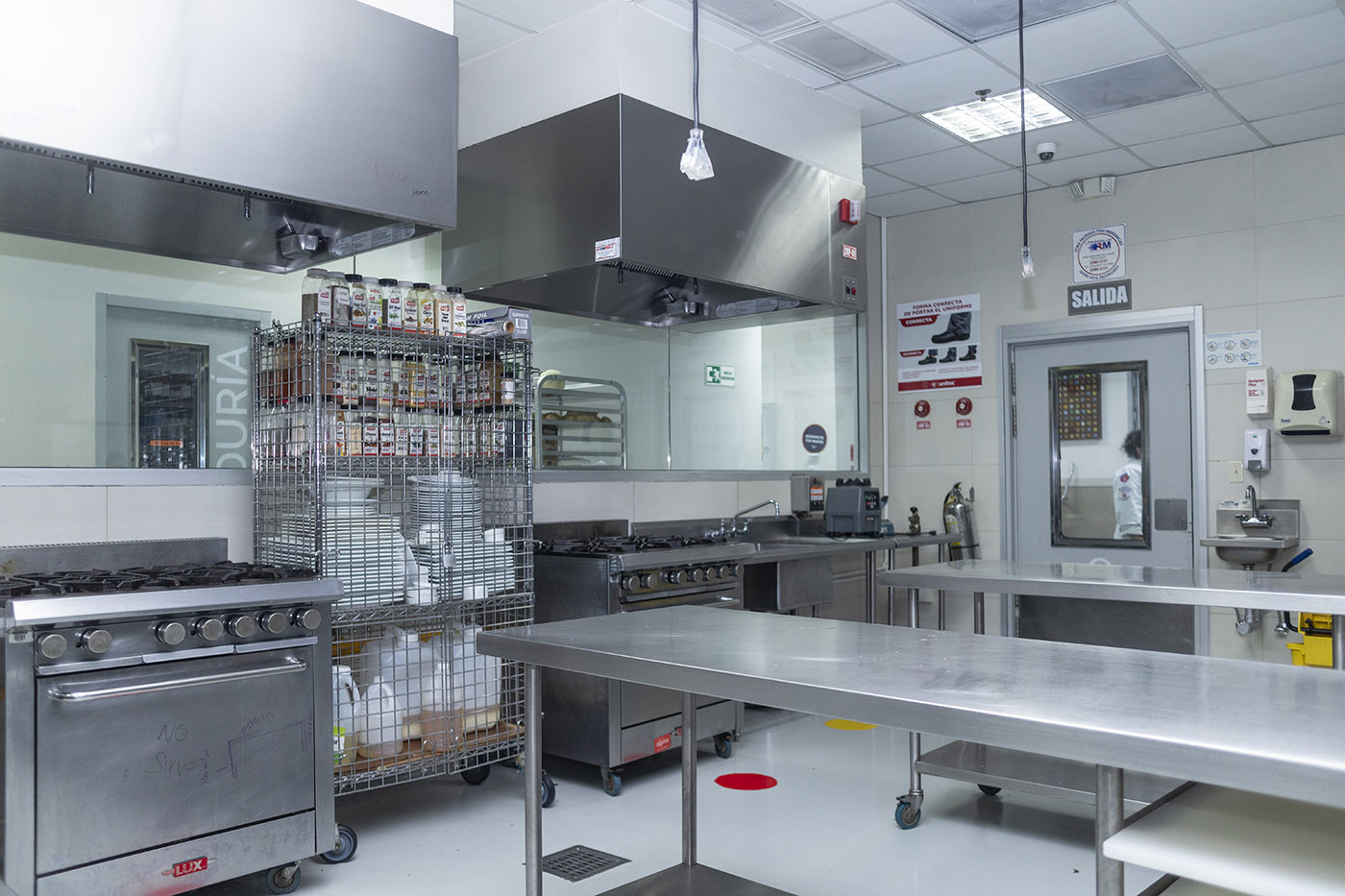 Licenciatura en Gastronom&iacute;a