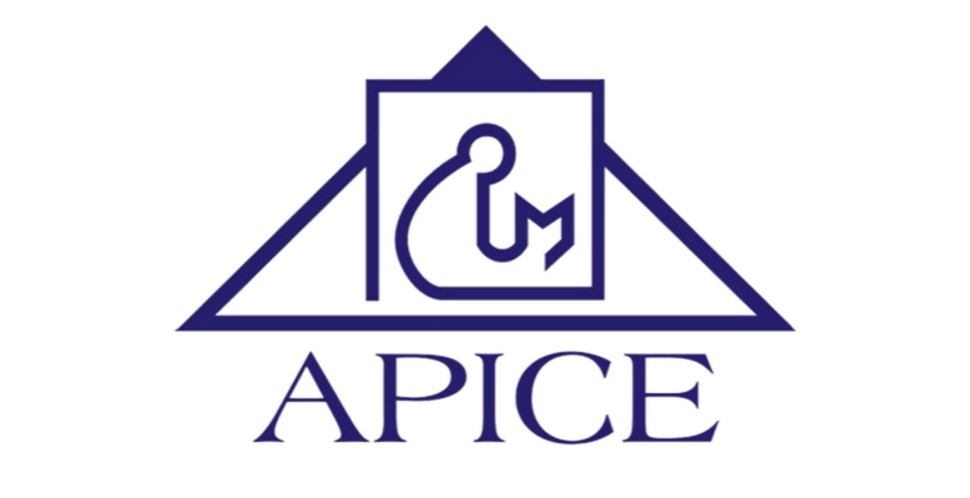 Asociaci&oacute;n Panamericana de Instituciones de Cr&eacute;dito Educativo