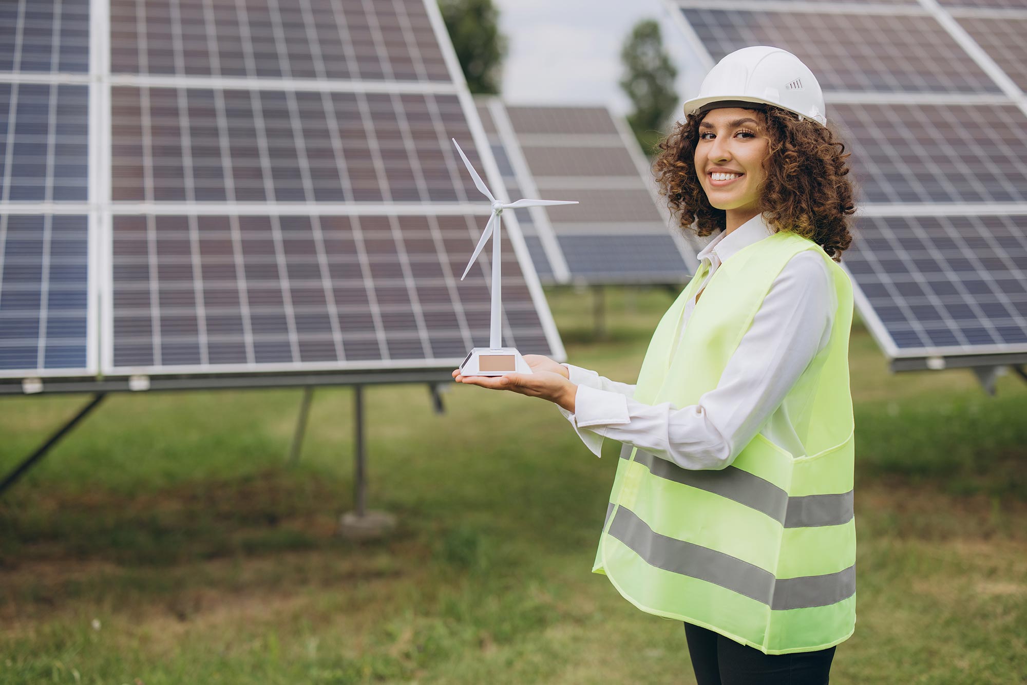 Maestr&iacute;a en Gesti&oacute;n de Energ&iacute;as Renovables