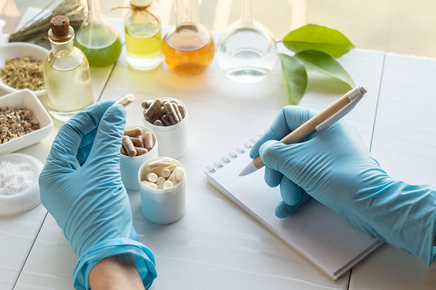 Licenciatura en Nutrici&oacute;n