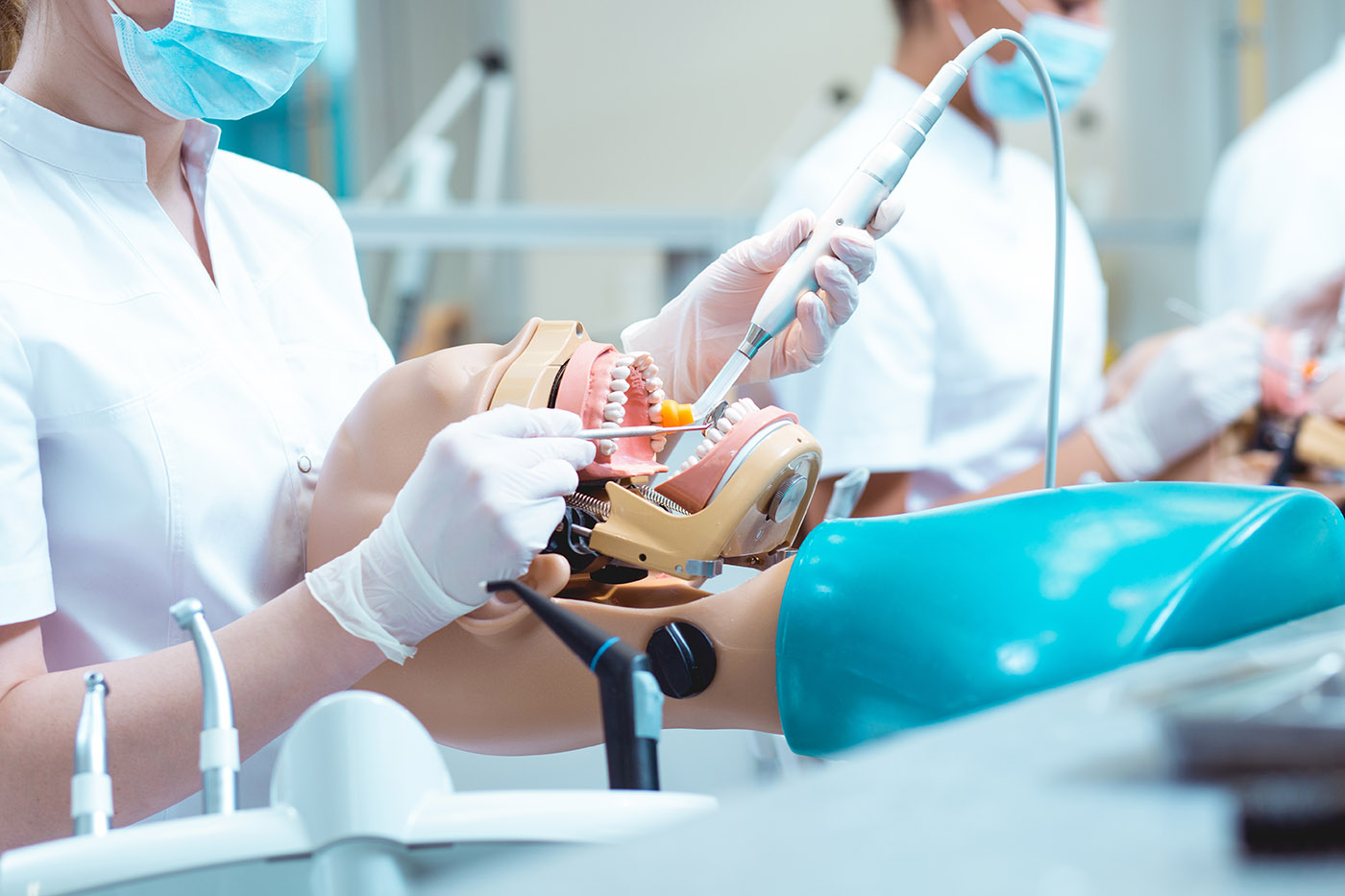 Licenciatura en Cirug&iacute;a Dental