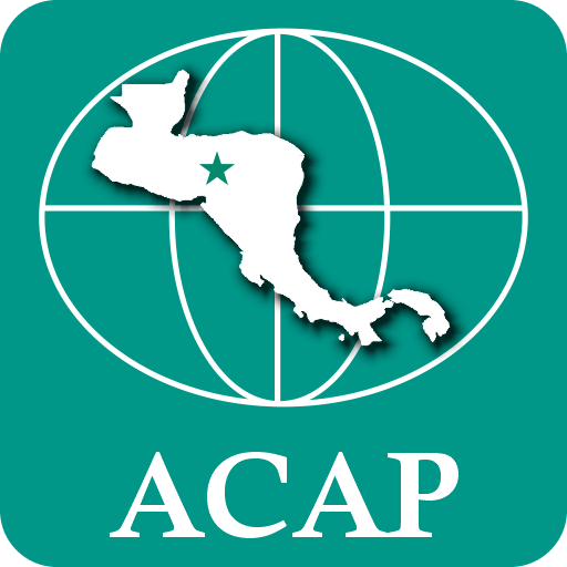 Redes y alianzas internacionales