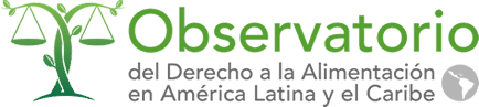 Redes y alianzas internacionales