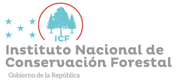 Voluntariado Corporativo