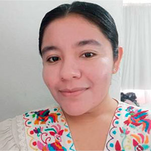 Docente Visitante