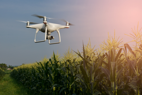 Tecnolog&iacute;as emergentes para impulsar la agricultura de precisi&oacute;n en Honduras
