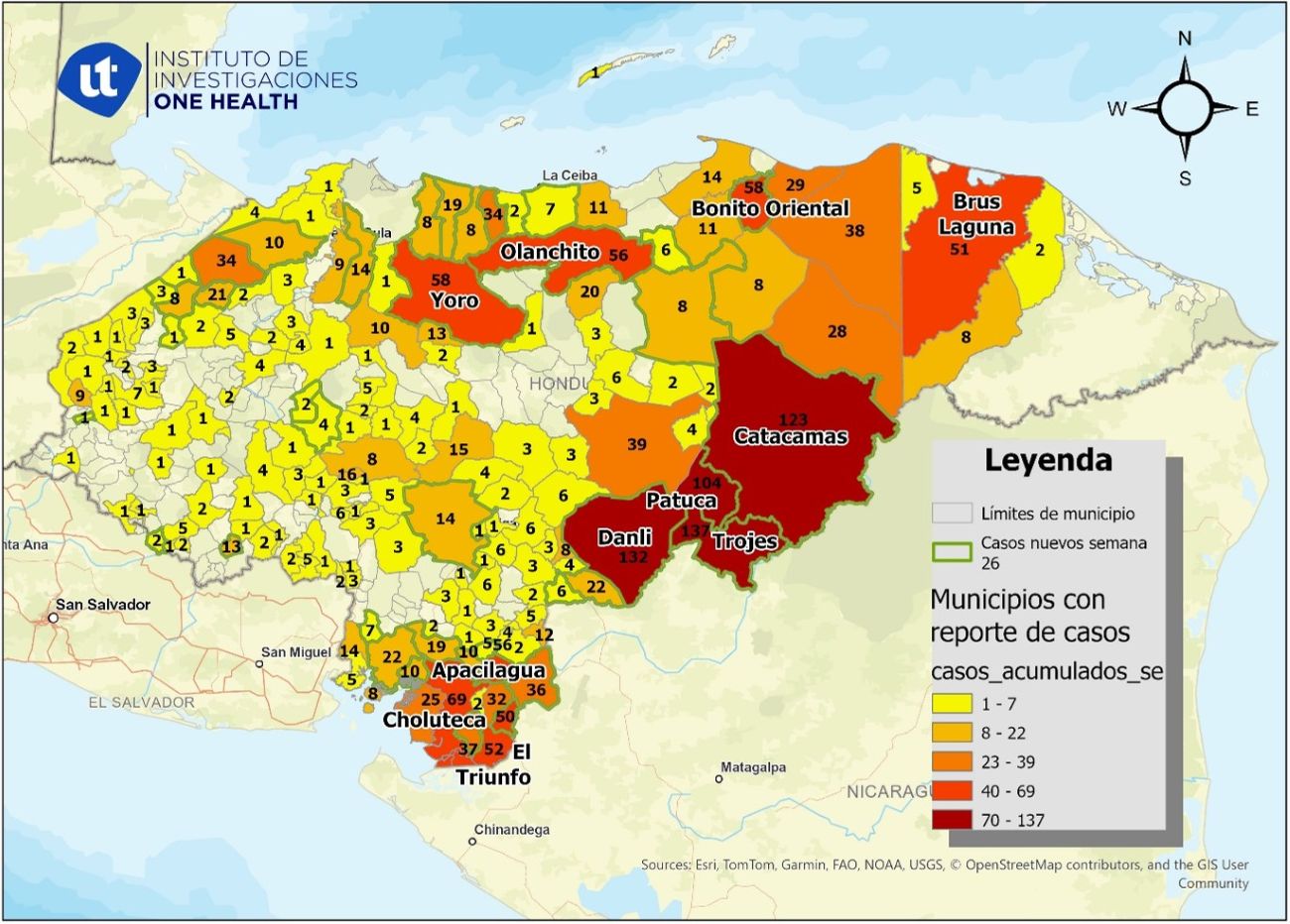 COVID-19 y gusano barrenador: dos alertas sanitarias activas en Honduras