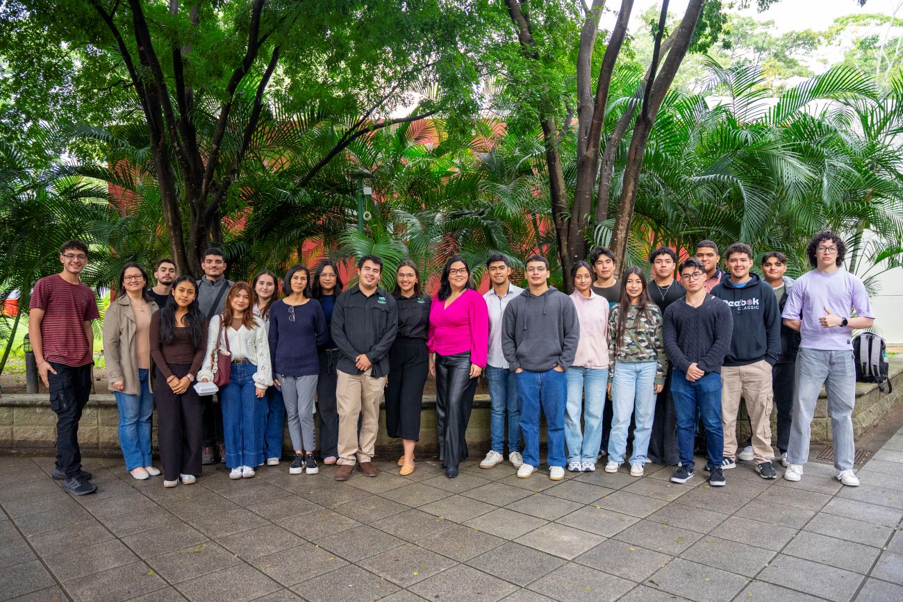 Investigaci&oacute;n Colaborativa