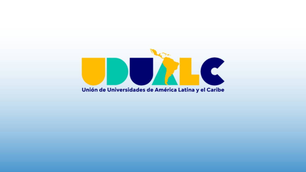 Redes y alianzas internacionales