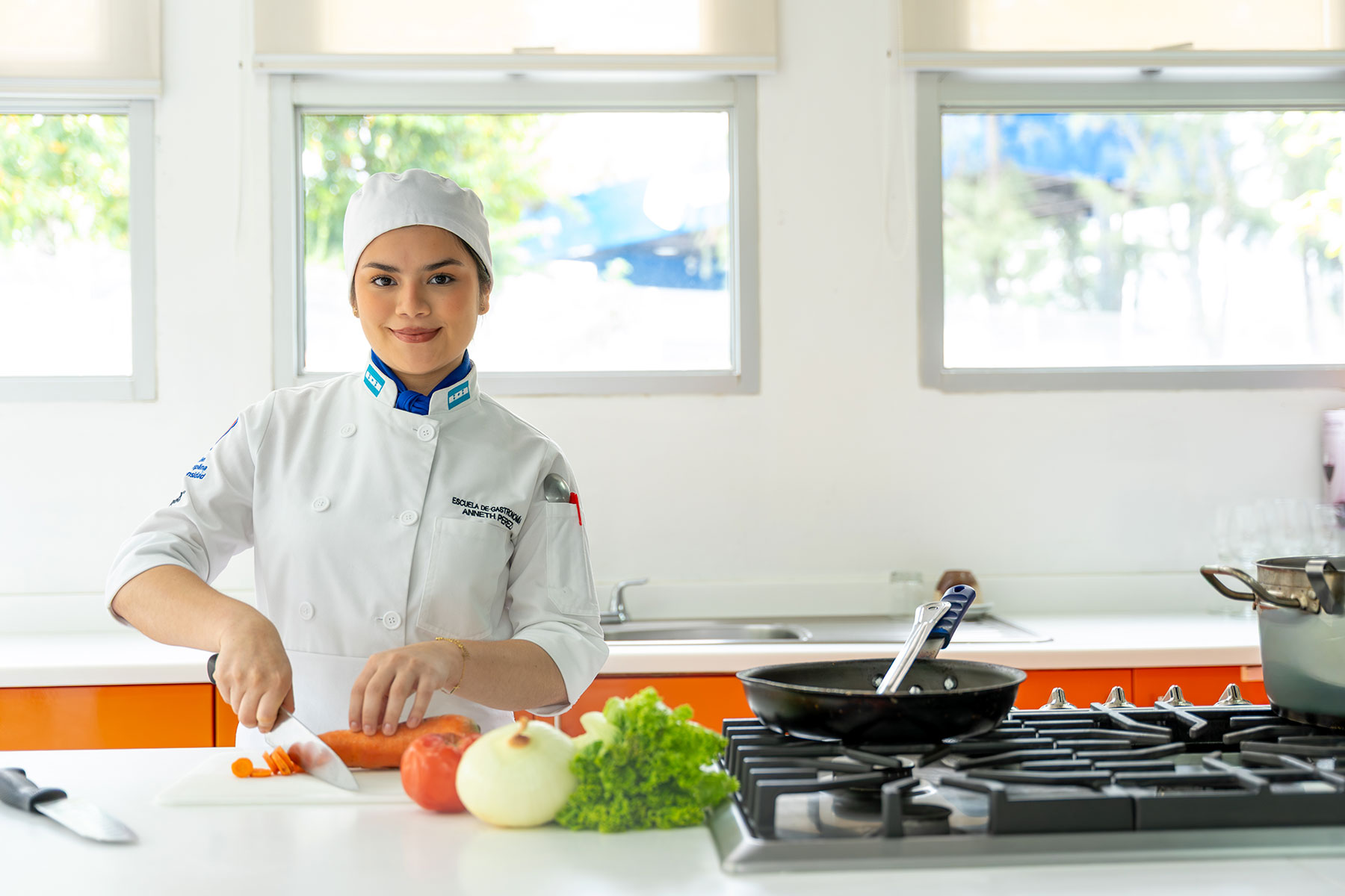Licenciatura en Gastronom&iacute;a