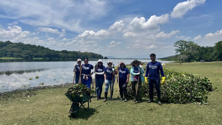 Equipo de voluntariado en acci&oacute;n