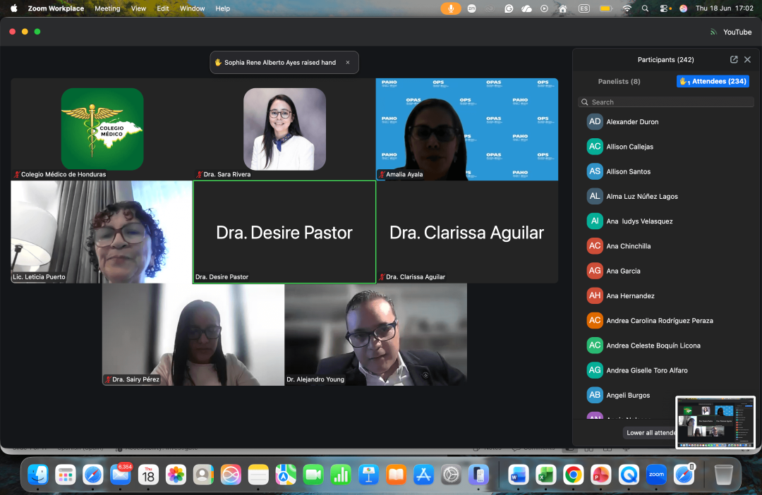 Captura de pantalla de una reuni&oacute;n virtual por Zoom con panelistas y participantes de una jornada sobre tos ferina.